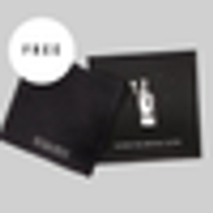 Free Silver Polishing Cloth