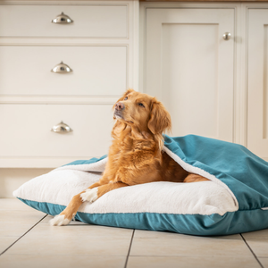 Sleepy Burrows Bed With Removable Cover In Marine Velvet by Lords & Labradors