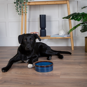 Scruffs Midnight Blue Reactive Glaze Food Bowl