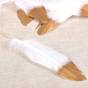 Set de 10 plumes finition dorée - Blanc