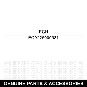 Echo A226000531 FILTER, AIR