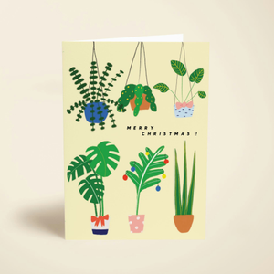 Greenhouse Christmas