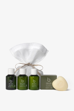 Geranium Discovery Set