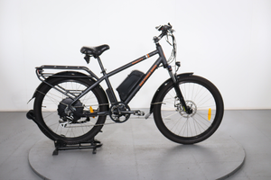 Rad Power Bikes RadCity