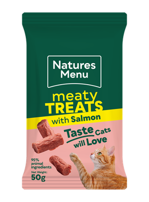 Salmon Treats