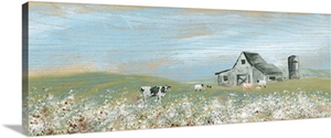 Cotton Fields