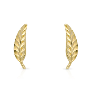 9ct Gold Feather Stud Earrings