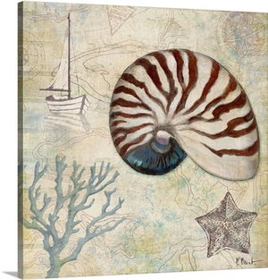 Discovery Shell I