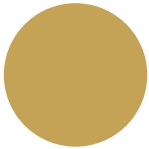 RailMatch 2256 EWS Gold 18ml Acrylic Paint