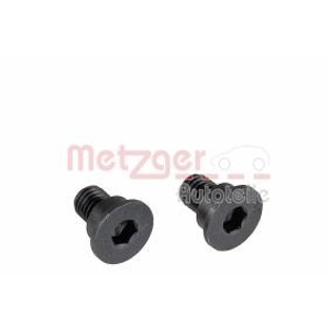 Brake disc screw / bolt