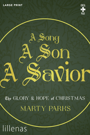Song, A Son, A Savior, A - Accompaniment DVD 