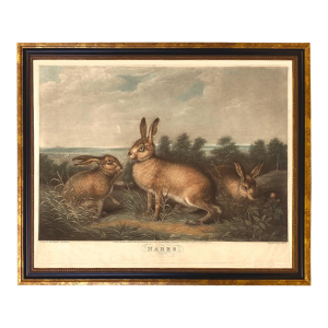 Vintage Hares (C. 1831) Framed Reproduction Print