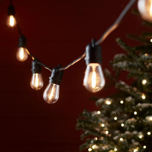 Ultimate Connect 10m 20 Warm White Festoon Lights