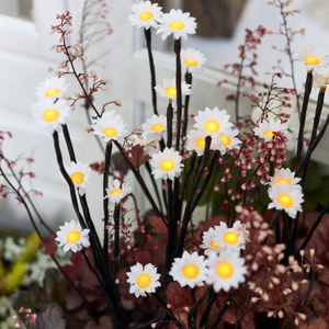 30 LED Daisy Solar Stake Lights