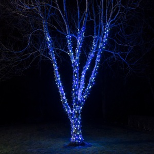 Pro Connect Blue & White Connectable String Lights Black Cable