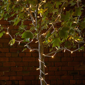 Pro Connect Traditional Warm White Connectable String Lights White Cable