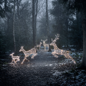 Famille de Rennes de Noël Harlow en Rotin à LED Bicolore