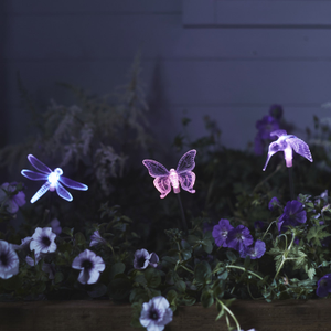 3er Set Solar Stableuchten Libelle, Schmetterling und Kolibri