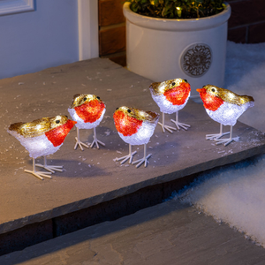 Set of 5 Acrylic Robin Lights
