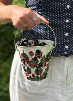Blackberry Foraging Bucket