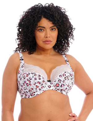 Elomi Lucie Plunge Bra - Rumble