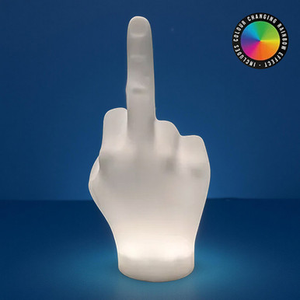 F*ck You Lamp