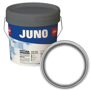 Juno Silicato Mineral Paint Tintable