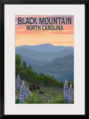 Black Mountain, North Carolina - Bear and Spring Flowers