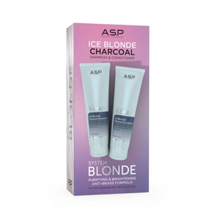System Blonde Ice Blonde Charcoal Duo Kit