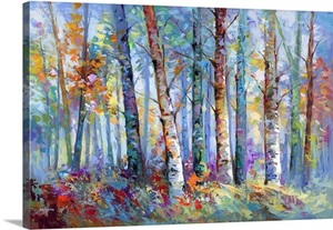 Forest With Birch Trees And Autumn Colors