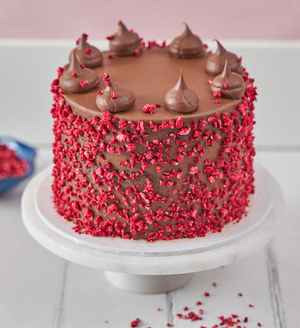 Vegan and Gluten Free Fudge Nationwide Cake NEW
