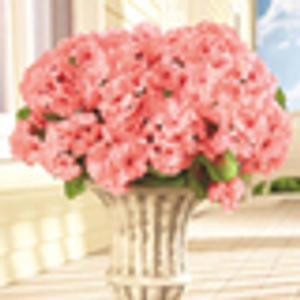 Faux Geraniums (Pack of 3) - Pink