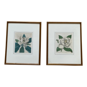 Pair of Antique Botanical Framed Prints