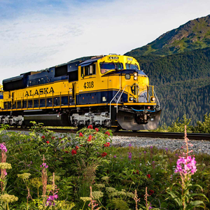 Alaska by Land and Sea Featuring 3 nights in Denali