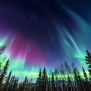Aurora Viewing at Bettles Lodge