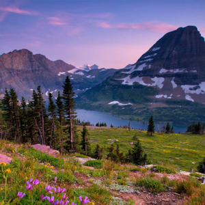 Glacier National Park & Chicago