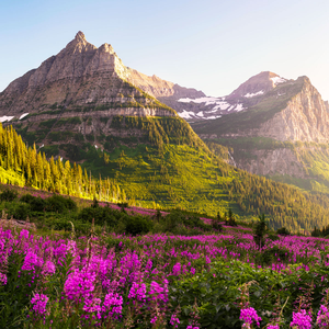 Empire Builder - Glacier National Park & Alaska Cruise