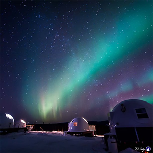 Northern Lights at Borealis Basecamp