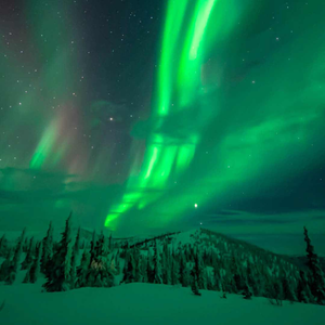 Alaska Northern Lights & Aurora Train
