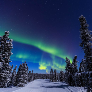 Alaska Northern Lights & Winter Nights – An Escorted Journey