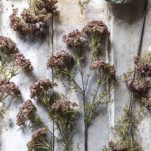 Artificial Dill Flower