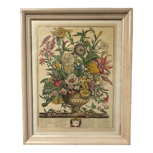 1920s Antique Robert Furber 12 Months of Flowers September Framed Botanical Art Print