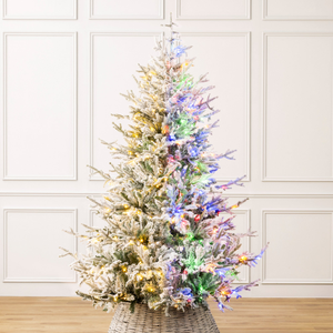 Pre-Lit Flocked Verbier Fir Christmas Tree