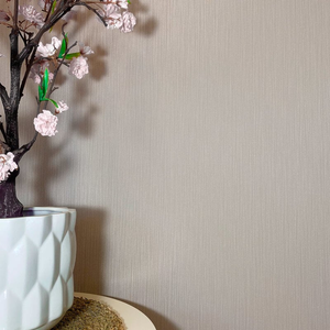 Belgavia Decor Suki Vertical Texture Beige Wallpaper - 2165