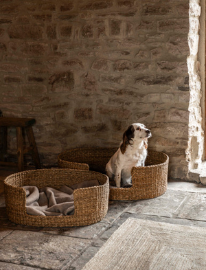 Brading Pet Beds - Seagrass, Natural, Set of 2