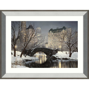 Twilight In Central Park