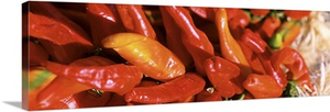 Closeup Red Chilies Taos NM