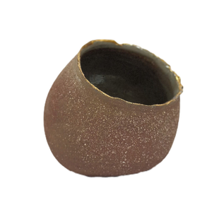 Gold Lustre Salt Pig