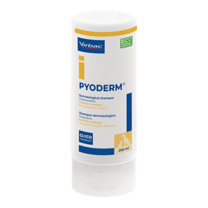 Pyoderm Shampoo – Antibacterial & Antifungal
