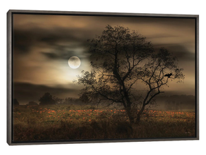 When Pumpkins Glow By Moonlight
